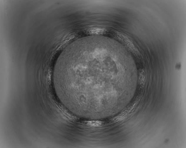 X0000100950363200807011314