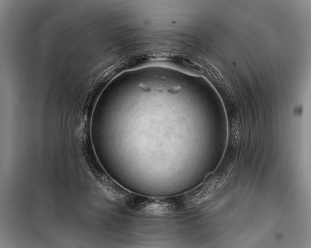 X0000100950364200807011314