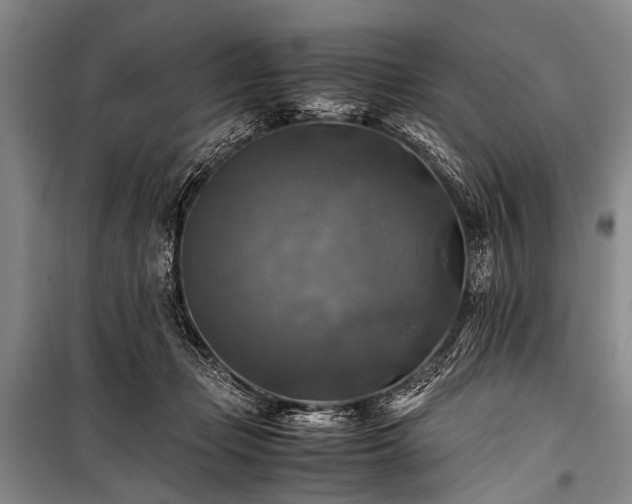 X0000100950365200807011314