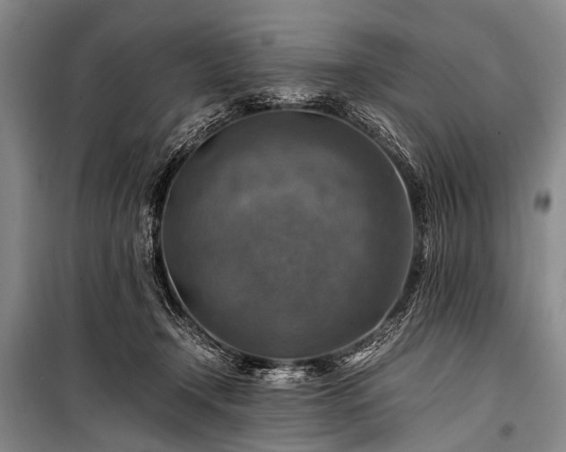 X0000100950366200807011314