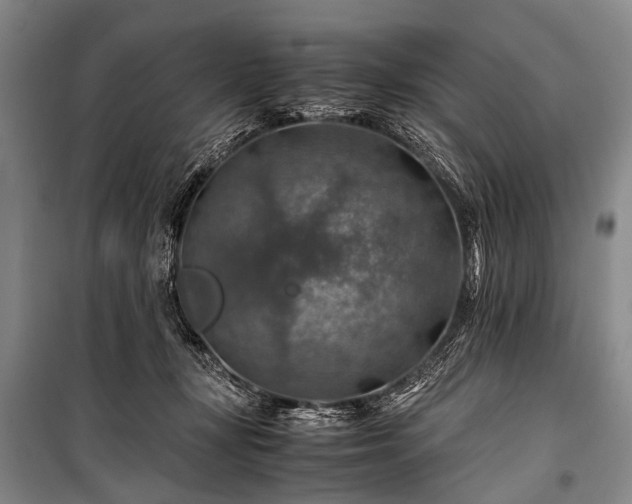 X0000100950367200807011314