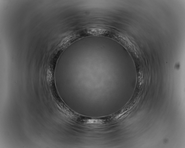 X0000100950371200807011314