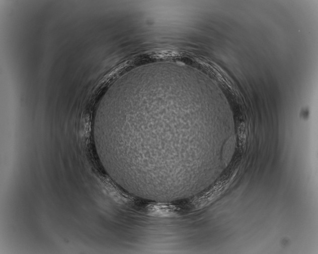 X0000100950372200807011314