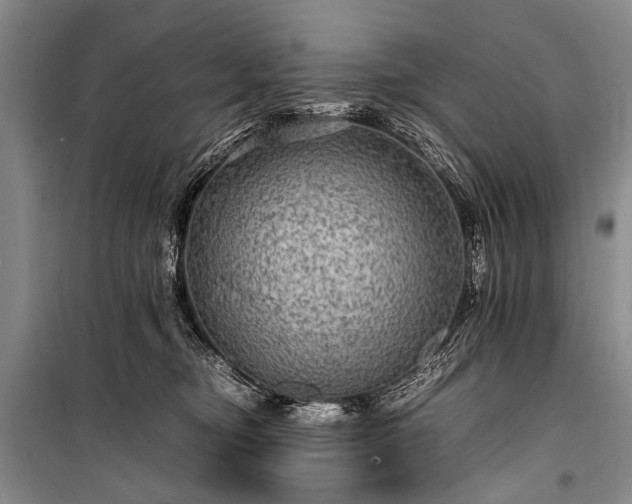 X0000100950374200807011314