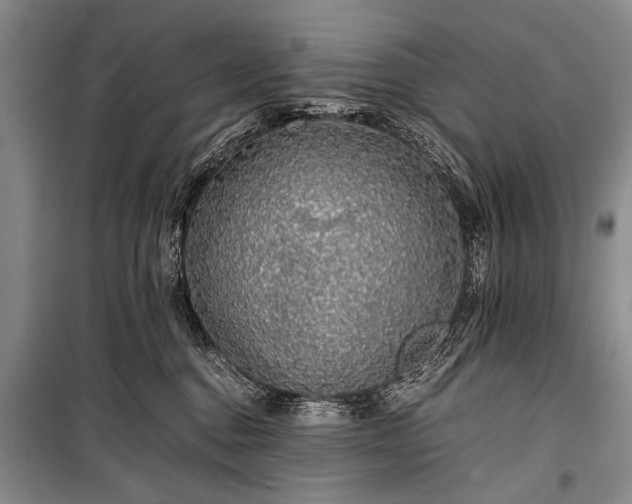 X0000100950376200807011314