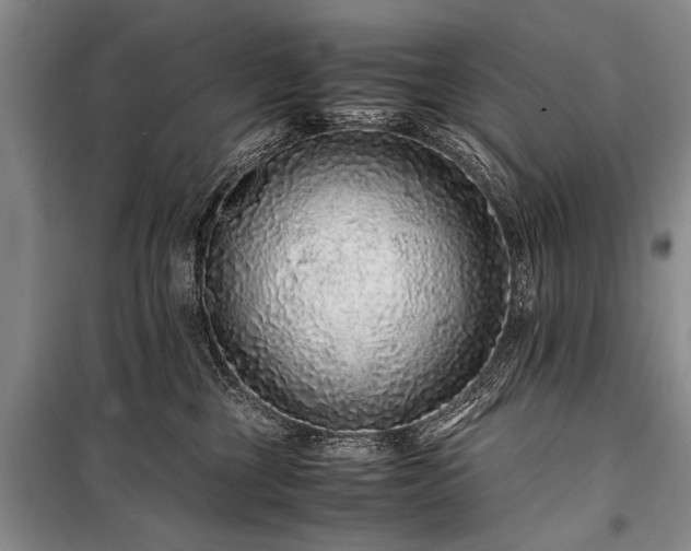 X0000100950377200807011314