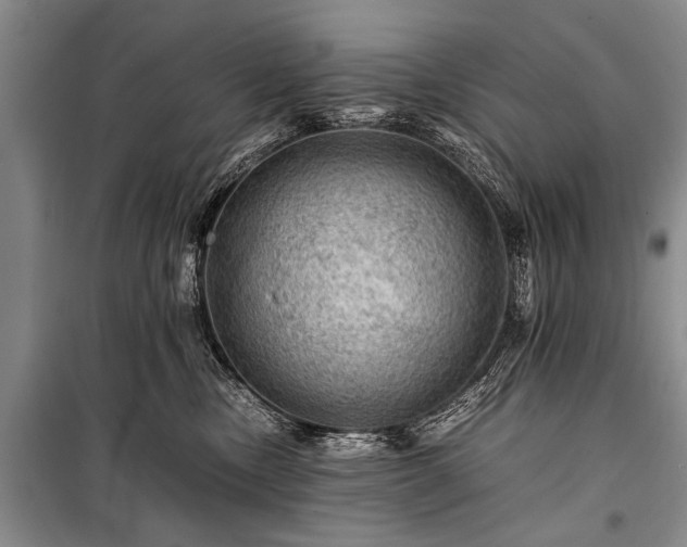 X0000100950378200807011314