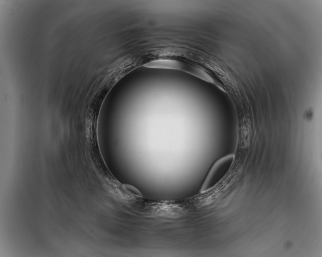 X0000100950379200807011314