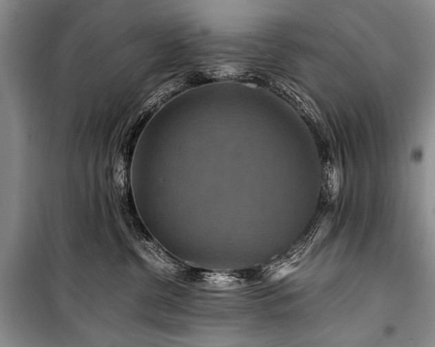 X0000100950380200807011314
