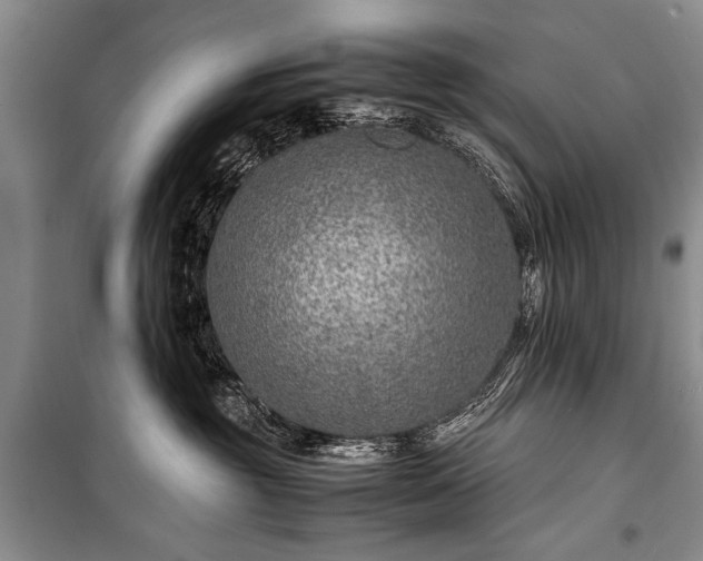 X0000100950381200807011314