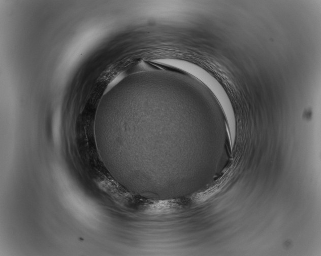 X0000100950382200807011314