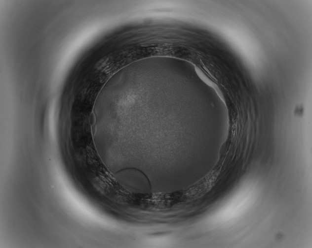 X0000100950383200807011314