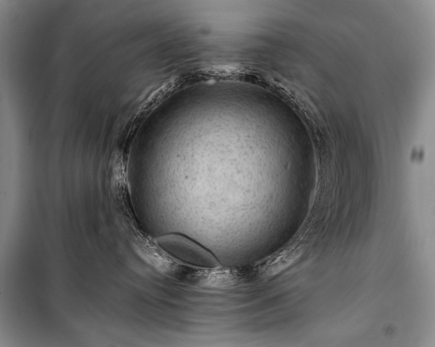 X0000100950384200807011314