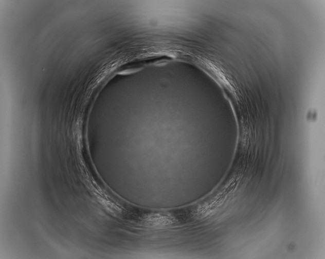 X0000100950386200807011313