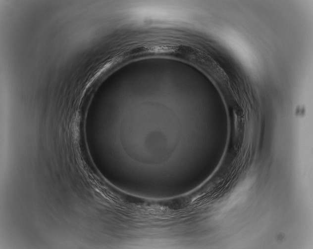 X0000100950387200807011313