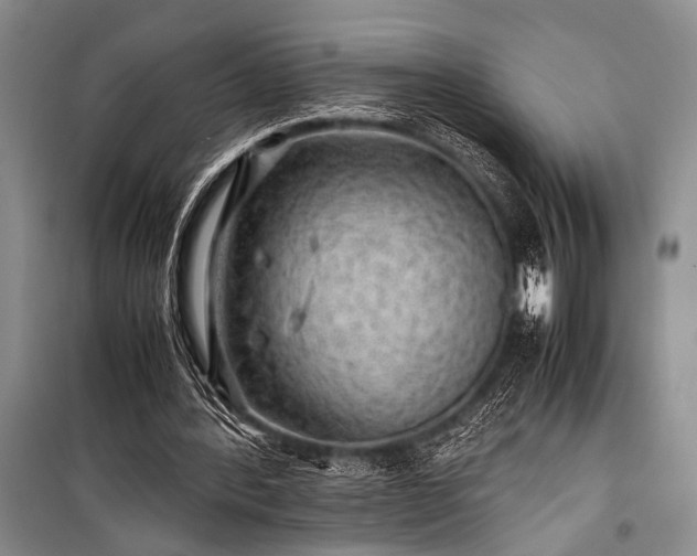 X0000100950388200807011313