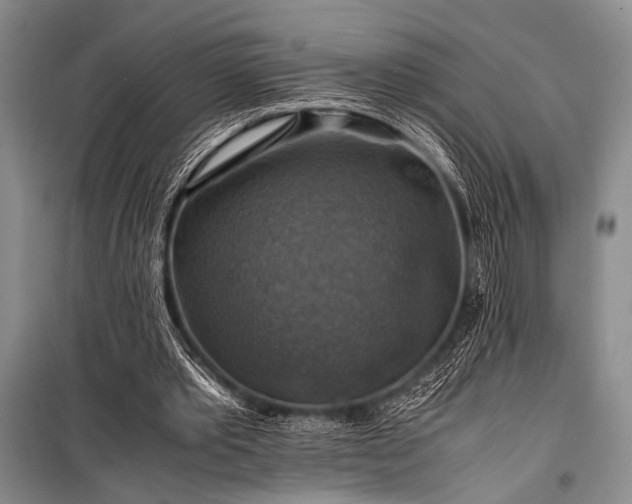X0000100950389200807011313