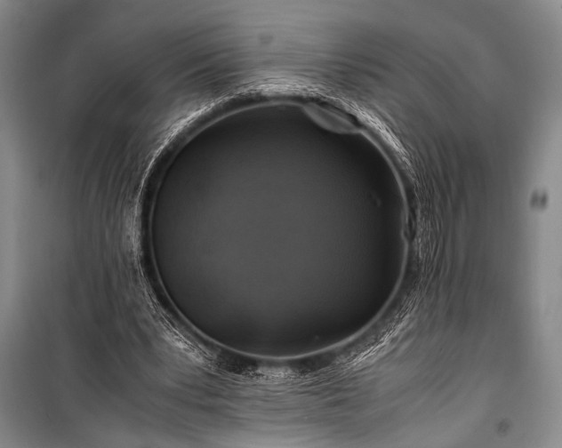 X0000100950391200807011313