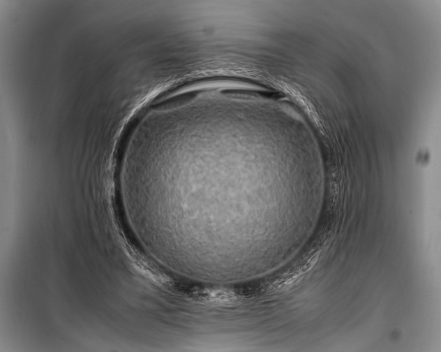 X0000100950395200807011313