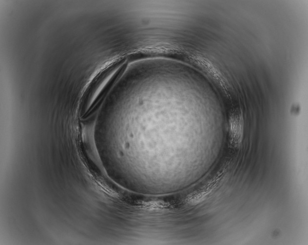 X0000100950396200807011313