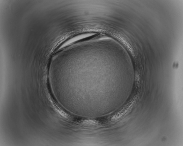 X0000100950397200807011313