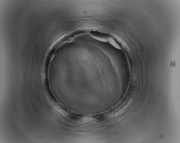 X0000100950399200807011313