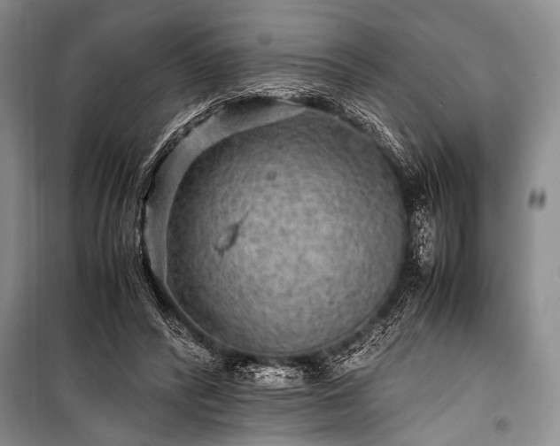 X0000100950400200807011313