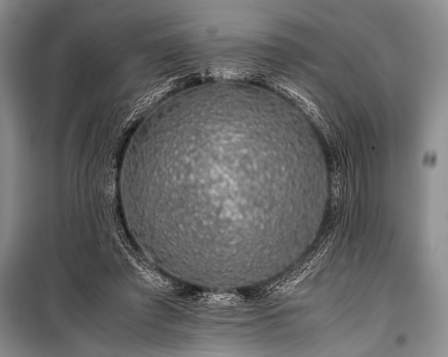 X0000100950401200807011313