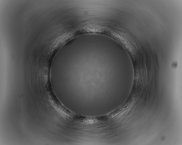 X0000100950402200807011313