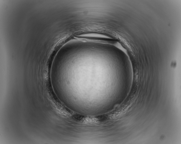 X0000100950403200807011313