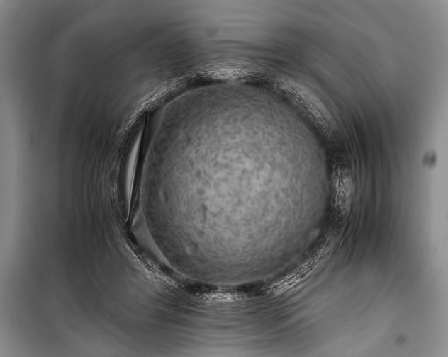 X0000100950404200807011313