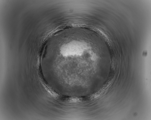 X0000100950405200807011313