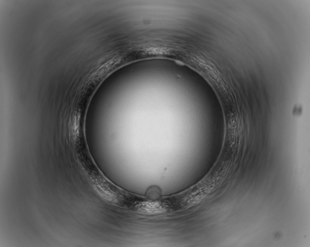 X0000100950406200807011313