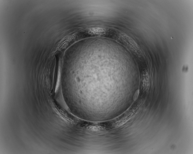 X0000100950408200807011313