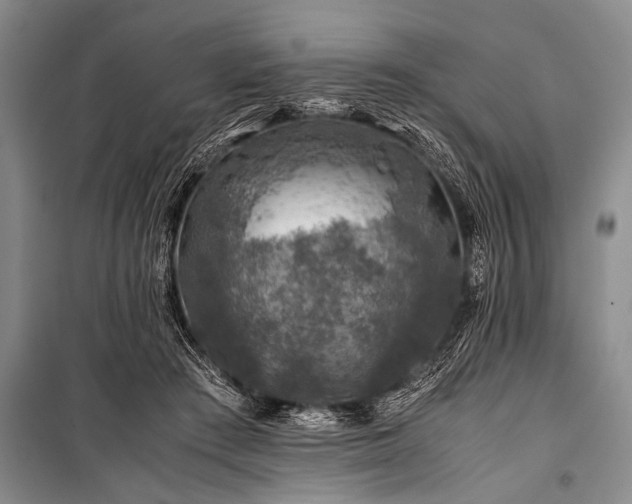 X0000100950409200807011313