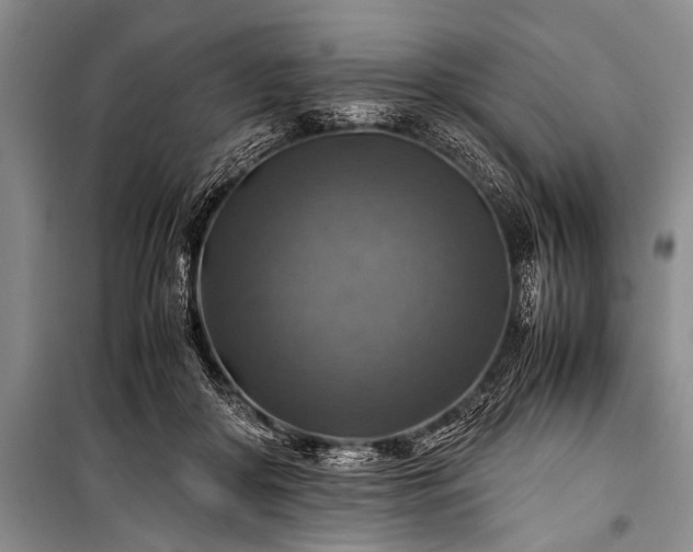 X0000100950410200807011313