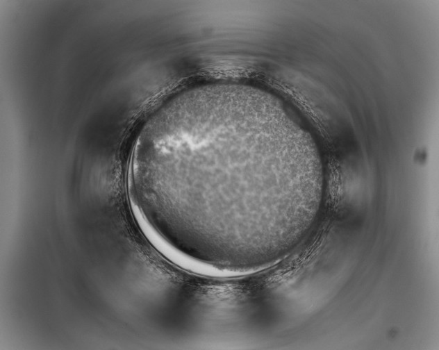 X0000100950411200807011313