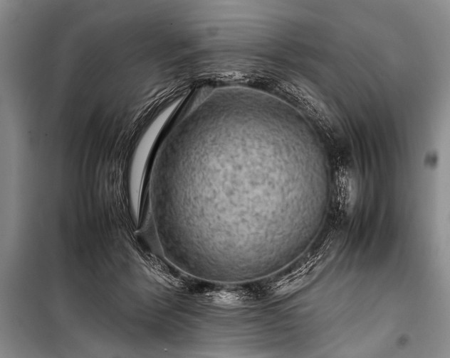 X0000100950412200807011313