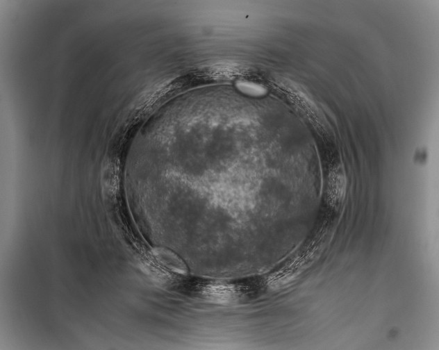 X0000100950413200807011313