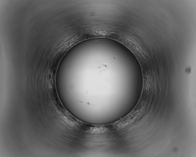 X0000100950414200807011313