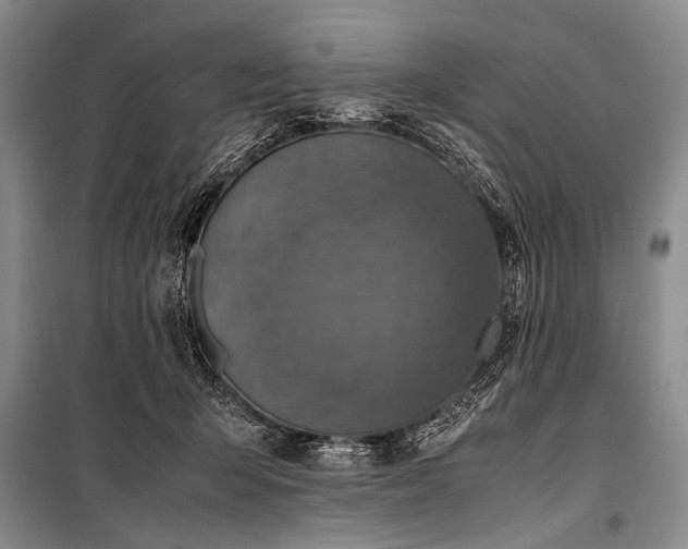 X0000100950415200807011313