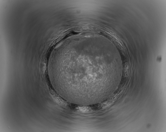 X0000100950417200807011313