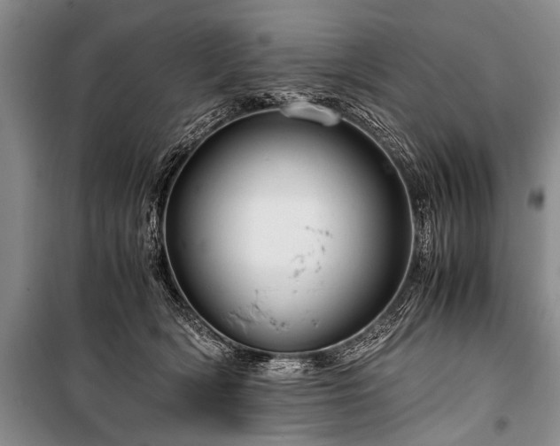 X0000100950418200807011313