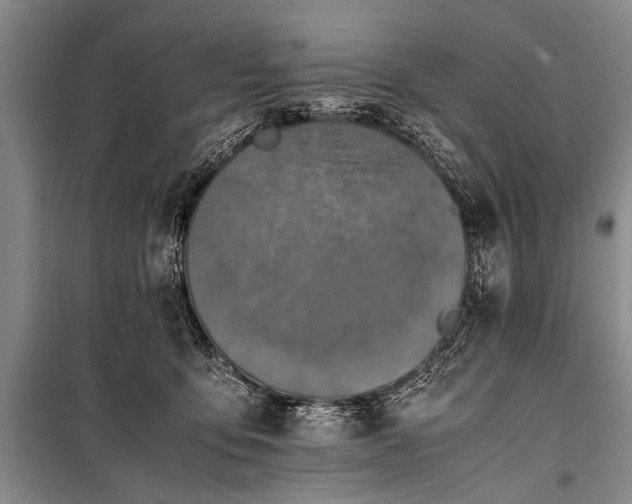 X0000100950419200807011313