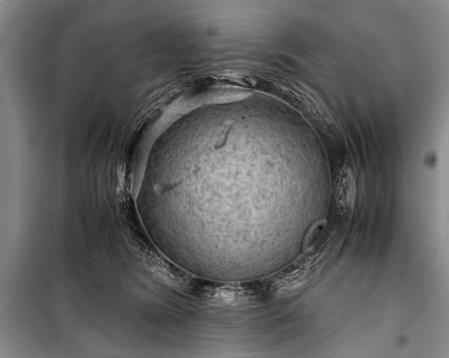 X0000100950420200807011313