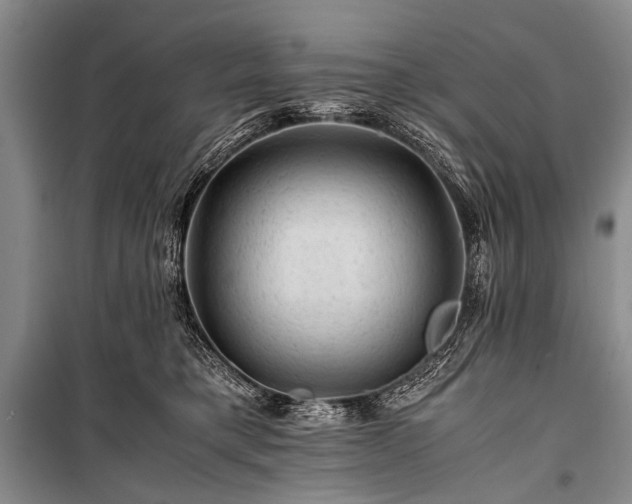 X0000100950421200807011313