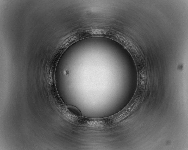 X0000100950422200807011313