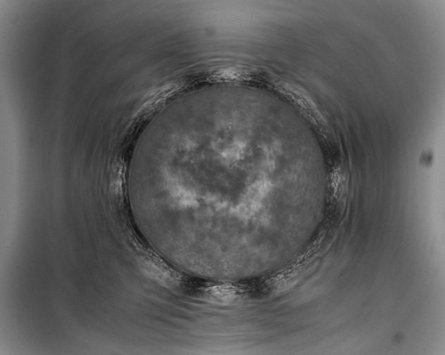 X0000100950423200807011313