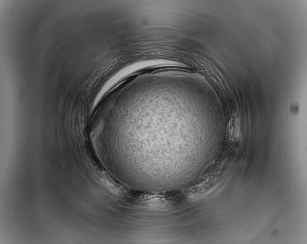 X0000100950424200807011313