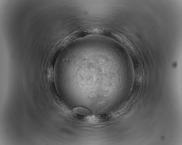 X0000100950425200807011313